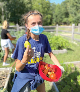 Windham middle school student in the school garden.