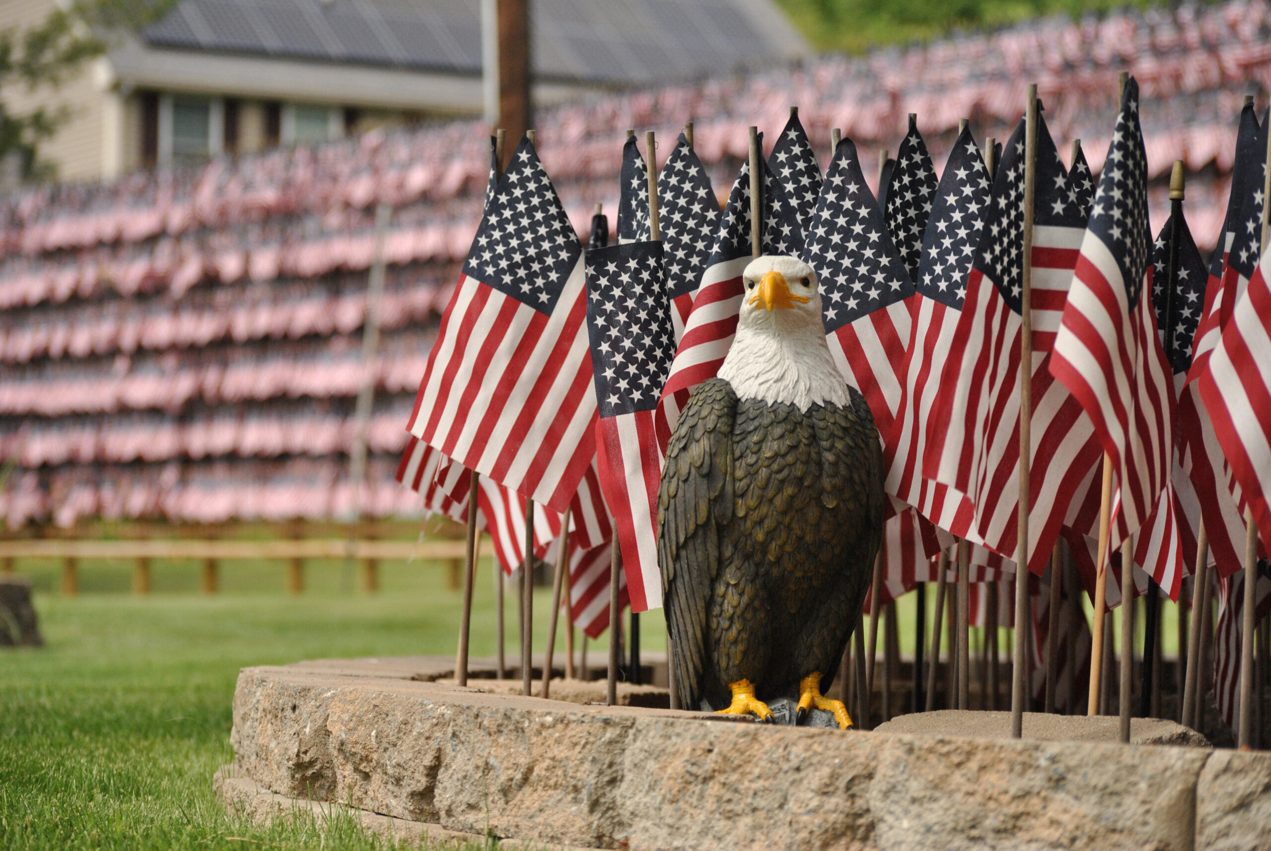 A statue of an eagle looks out from a flower bed filled with flags memorializing COVID-19 victims in Massachusetts.