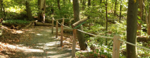 The Sensory Trail at Broad Meadow Brook features a rope-and-post guide system and 14 stops with interpretive information. Broad Meadow Brook is one of several Mass Audubon wildlife sanctuaries that features a universally-accessible All Persons Trail.