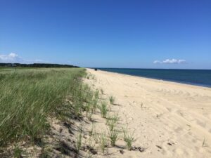 Cape Poge’s secluded barrier beach stretches far into the distance of the 516 acre refuge. Photo/The Trustees of Reservations