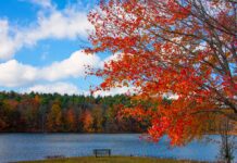 From late September to late October, Massachusetts and the other New England states offer beautiful fall foliage for visitors to enjoy.