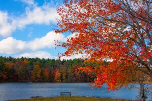  From late September to late October, Massachusetts and the other New England states offer beautiful fall foliage for visitors to enjoy.