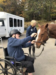 Grooming a horse is one of the components of an equine therapy program at Windrush Farm that engages people living with dementia.