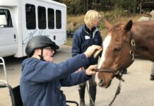 Grooming a horse is one of the components of an equine therapy program at Windrush Farm that engages people living with dementia.