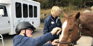 Grooming a horse is one of the components of an equine therapy program at Windrush Farm that engages people living with dementia.