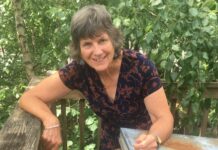 Helen Palmer with her bees.