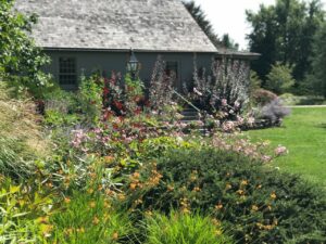 The Berkshire Botanical Garden goal is to plant for pollinators and supply habitat for insects such as bumblebees and butterflies.