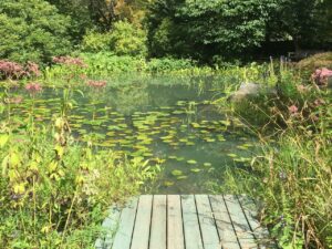 A pond garden is one of the several different display gardens on the grounds.