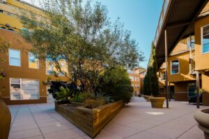 A cohousing development involves a group of individually owned homes, like a condominium, but also includes a common area building where shared meals, meetings, and other events take place. 