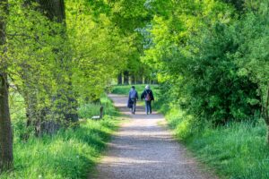 Researchers call walking the “most perfect exercise,” with a wide variety of health benefits.