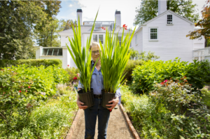 As head gardener of the Peabody Essex Museum in Salem, Robin Pydynkowski is responsible for the grounds of three campuses and 35 buildings.