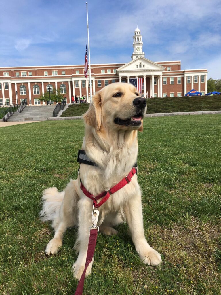 Dogs can present challenges for obtaining home health care