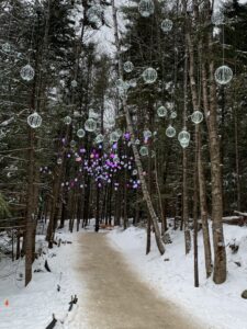 Trees with twinkling lights and curtains of hanging snowflakes light the hard-packed, snow-covered path in the woods at New Hampshire Ice Castles.Photo/Sandi Barrett
