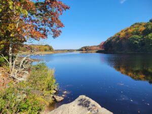 Hockomock Swamp in southeastern Massachusetts, the largest freshwater swamp in the state, has a long reputation as a place of mysterious sightings and events.