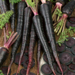 Liven up your garden with unique fruits and veggies like the black nebula carrot. 