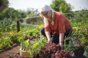 Planting some unique fruits and vegetables can bring a new dimension to your garden and may help you increase your intake of healthy foods as well.