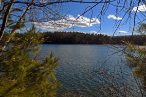 Walden Pond State Reservation welcomes approximately half a million annual visitors, some of whom make the trek from other states or countries.