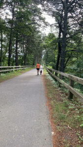 The Cape Cod Rail Trail is a 25-mile paved bike and accessible walking path that runs from South Dennis to Wellfleet.Photo/Sandi Barrett