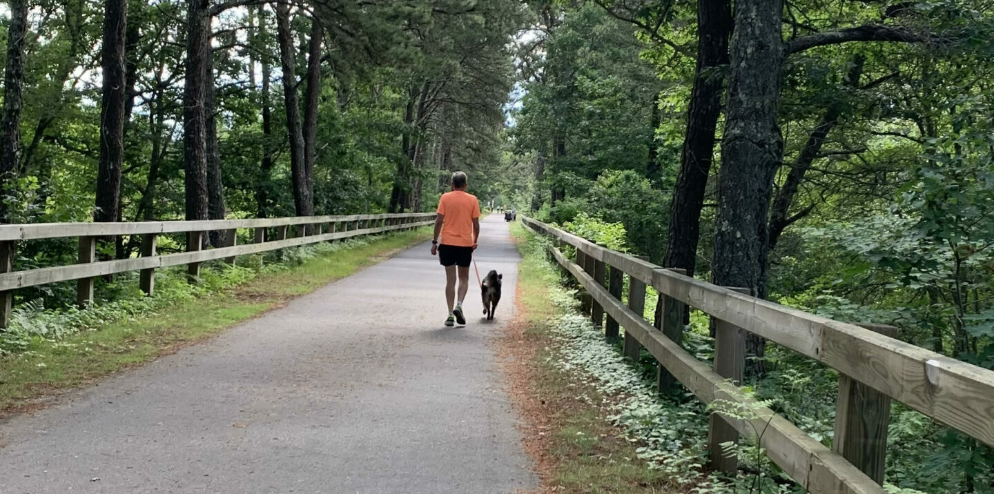 Enjoy hiking trails in Massachusetts for every fitness level