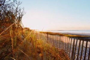 November is a perfect, crowd-free time to explore the quaint fishing villages, slow-paced harbors, and quiet beaches of the Lower Cape.Photo/Courtesy of Ocean Edge Resort & Golf Club
