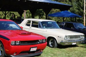 Classic cars and vehicles at the A&M racetrack reunion in Marlborough.