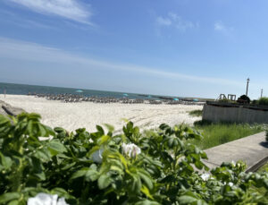Mid-Cape beach scene at Red Jacket Resort, Cape Cod outdoor activities for Fifty Plus Advocate readers.