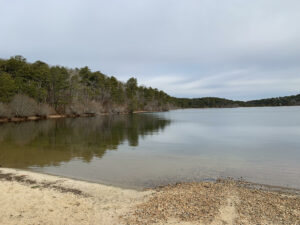 Nickerson State Park has scenic trails with views of ponds, meadows, campgrounds, and forests.Photo/Sandi Barrett