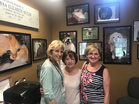 Volunteering in the community - Scituate Animal Shelter - Fifty Plus Advocate Volunteering in the community - Scituate Animal Shelter - Fifty Plus Advocate