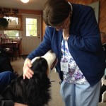 Pet therapy is popular at the Create a Better Day Café in Marlborough.