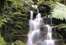 New Zealand: Magnificence in miniature