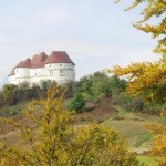 A castle on a scenic hillside